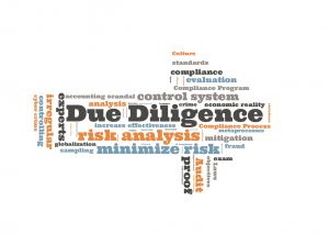 Due Diligence, Background Checks